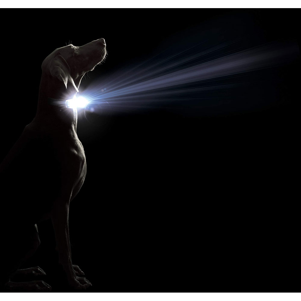 Nano Pet Products Dog Led Safety Collar Comet