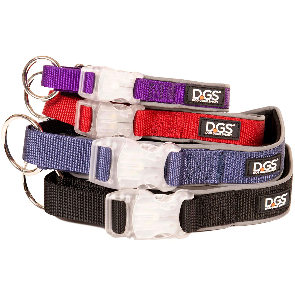 Nano Pet Products Dog Led Safety Collar Comet