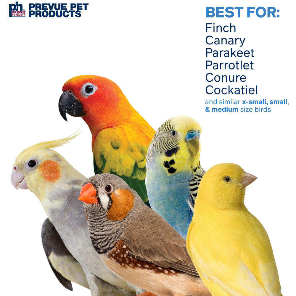 Prevue Pet Products Preen & Pacify Fancy Dance Bird Toy 62611