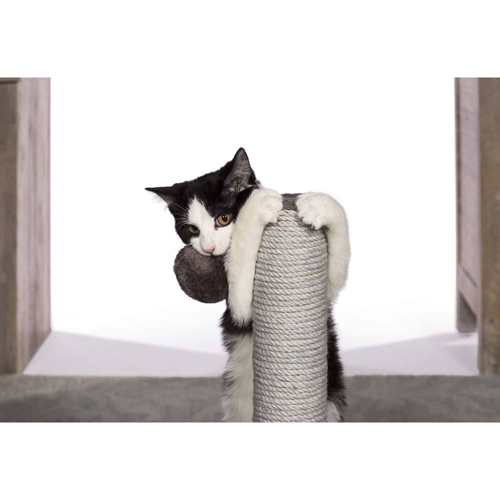 Prevue Pet Kitty Power Paws Play & Scratch Cat Scratching Post 7151