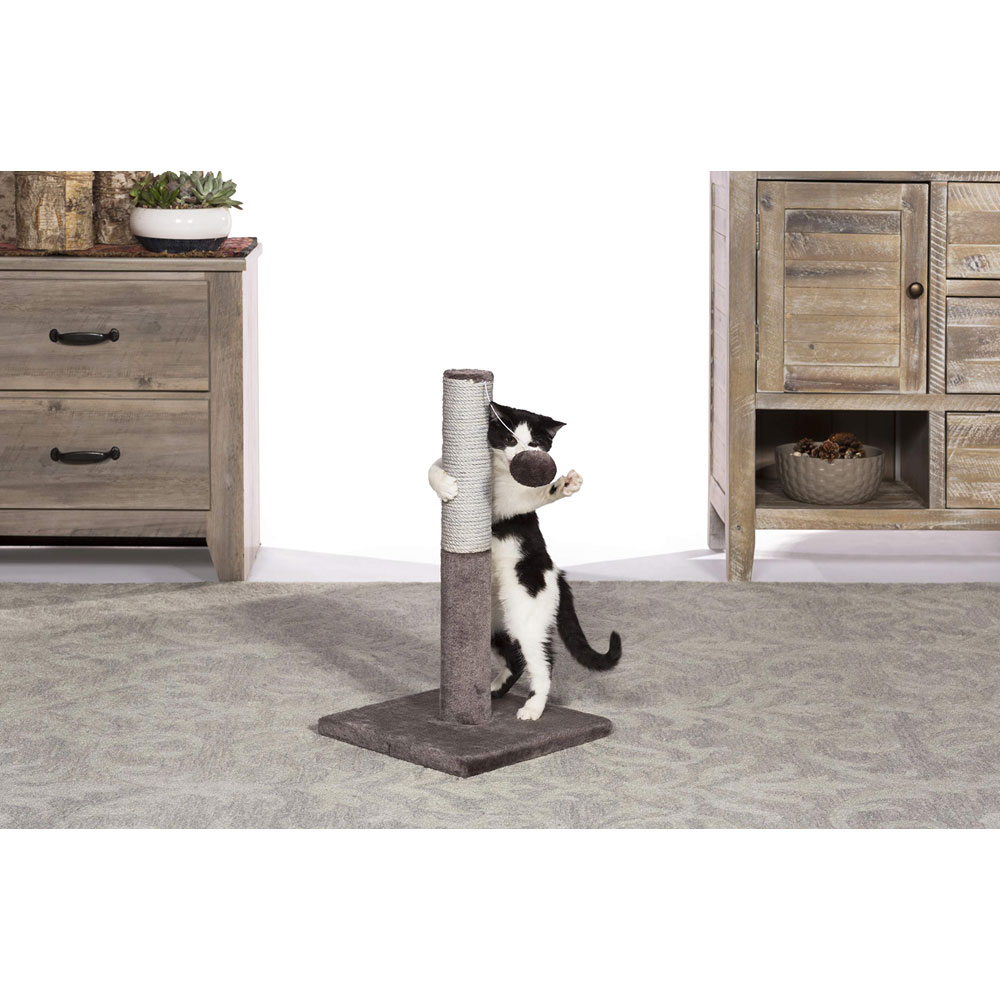 Prevue Pet Kitty Power Paws Play & Scratch Cat Scratching Post 7151