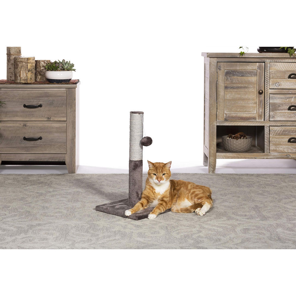 Prevue Pet Kitty Power Paws Play & Scratch Cat Scratching Post 7151