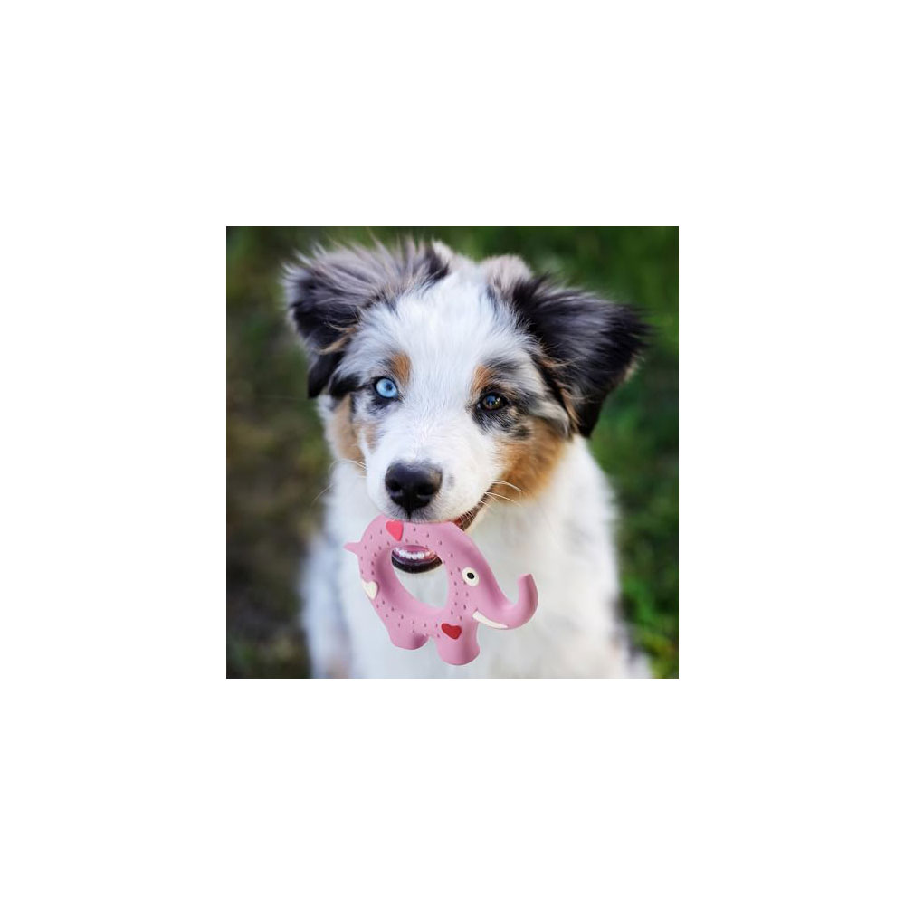 Spot Latex Ring Dog Toy Soft & Stuffingfree With Honking Squeaker 100% Brightly 