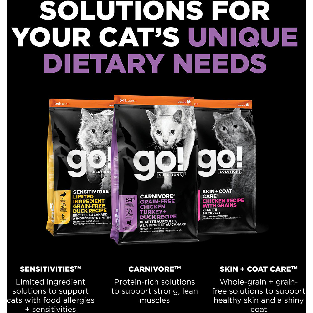 Go! Solutions Carnivore Grainfree Protein Rich Dry Cat Food Chicken Turkey And D