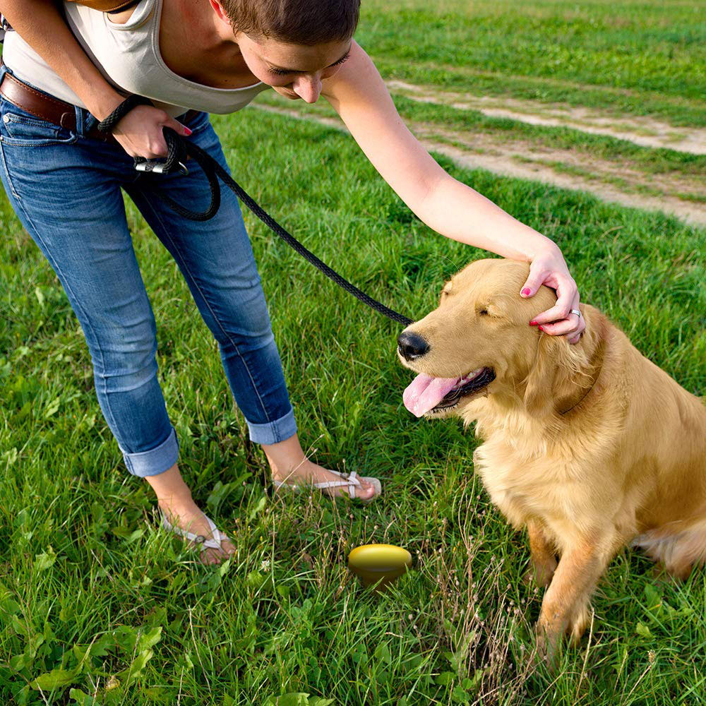 Simple Solution Pee Post Outdoor Potty Training Aid Dog
