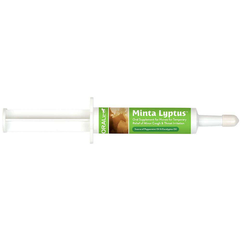 Oralx Minta Luptus Oral Supplement For Horses Cough Calm Paste