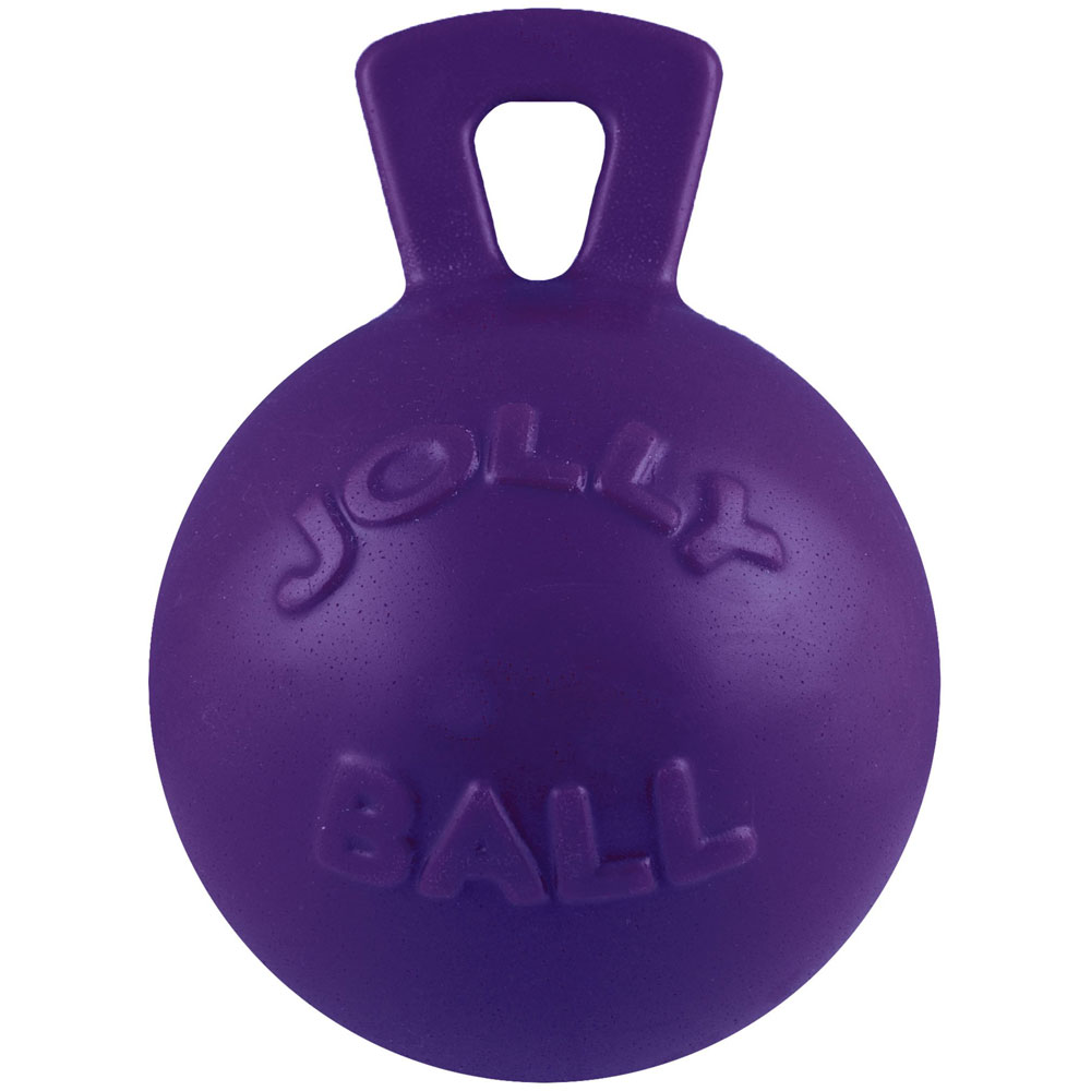 Horsemen'S Pride Jolly Pets Tugntoss Ball Purple Dog Toy Fet