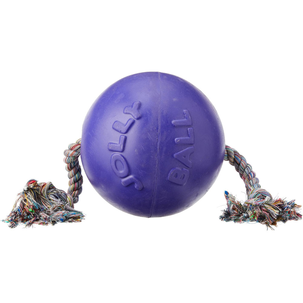Horsemen'S Pride Jolly Pets Rompnroll Ball Dog Toy Pet Fetch