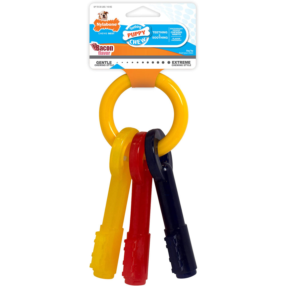 For Teething Puppies Multi Color Bacon Fla
