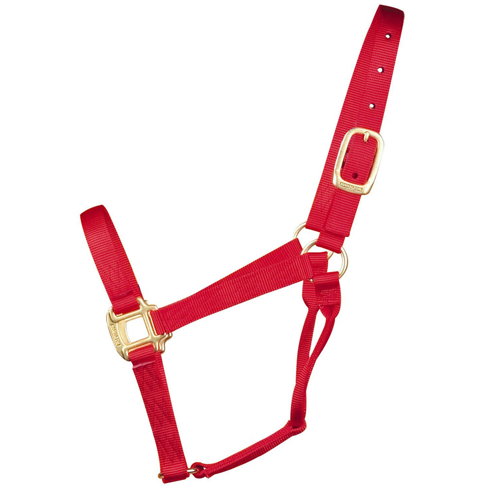 Hamilton Nylon Horse Halter Red Equestrian