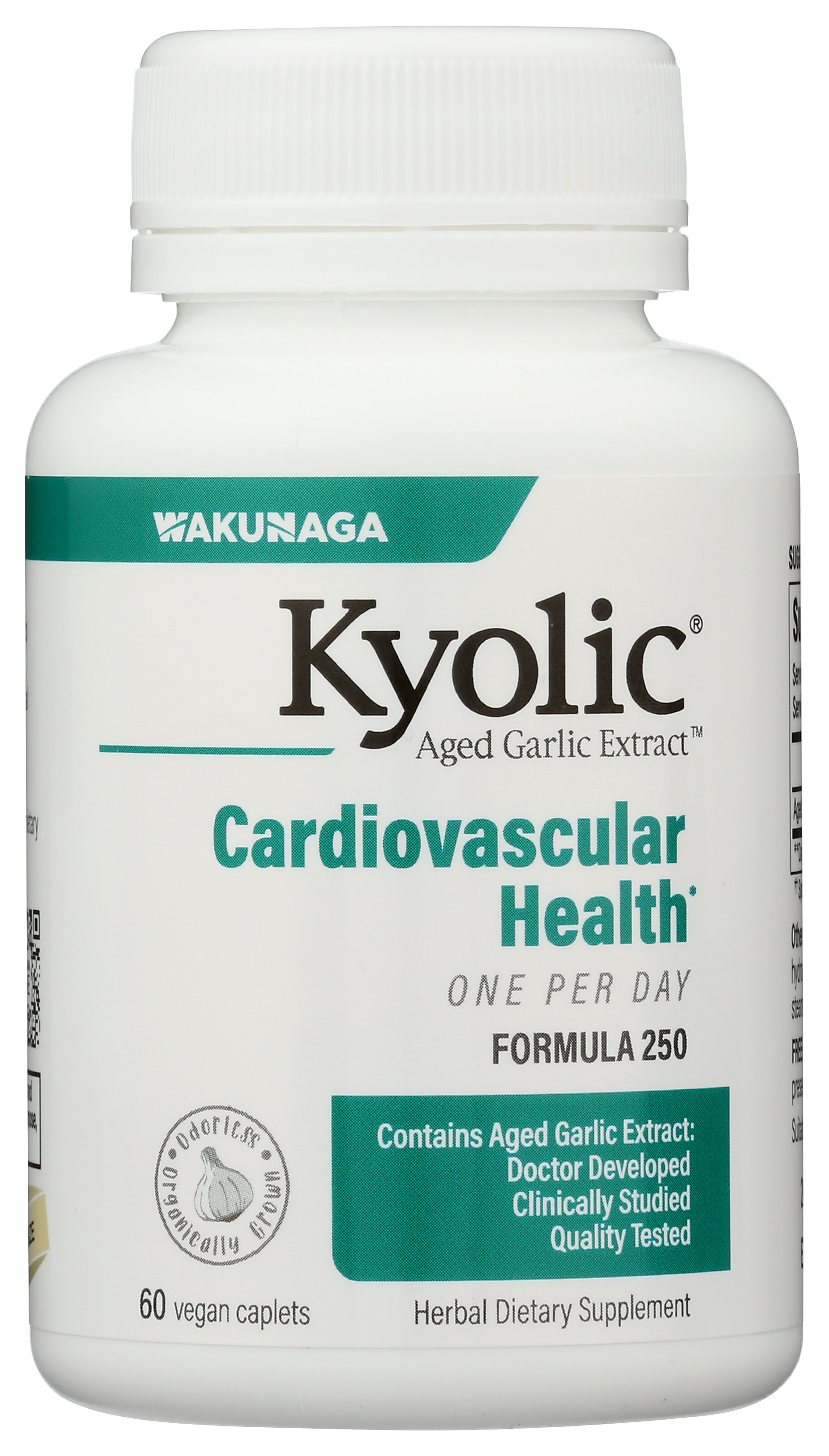 Kyolic Cardiovascular Health One Per Day Formula 250 Supplement