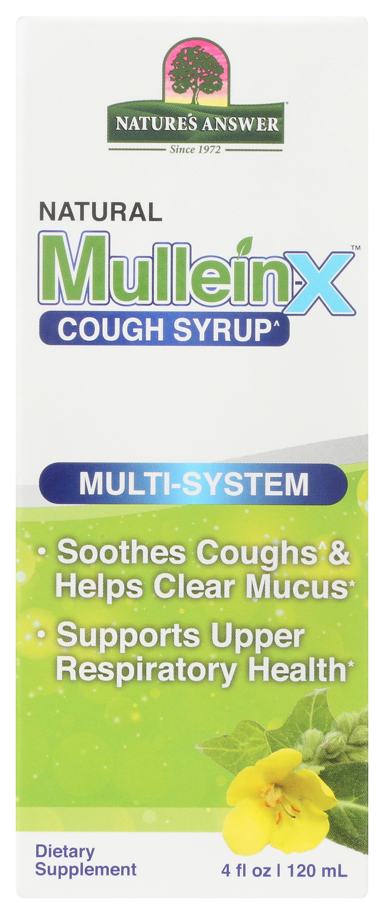 Natures Answer Mullein X Natural Cough Syrup 4 Fl Oz Honey