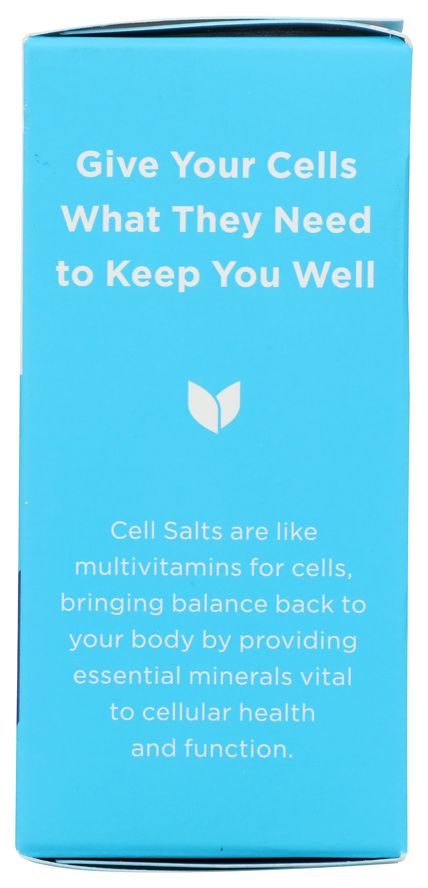 Hylands Cell Salt 10 Nat Phos 100 Quick-Dissolving Tablets Homeopathic