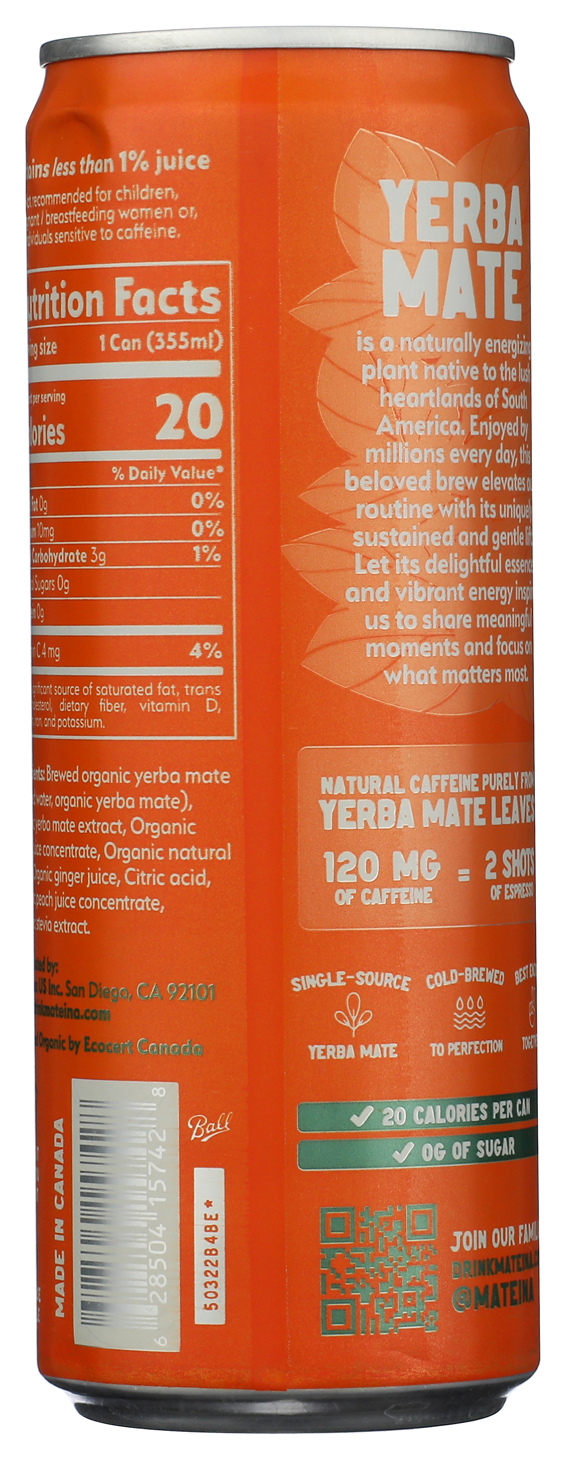 Mateina Yerba Mate Peach Passion Energy Brew 12 Fl Oz Organic Beverage