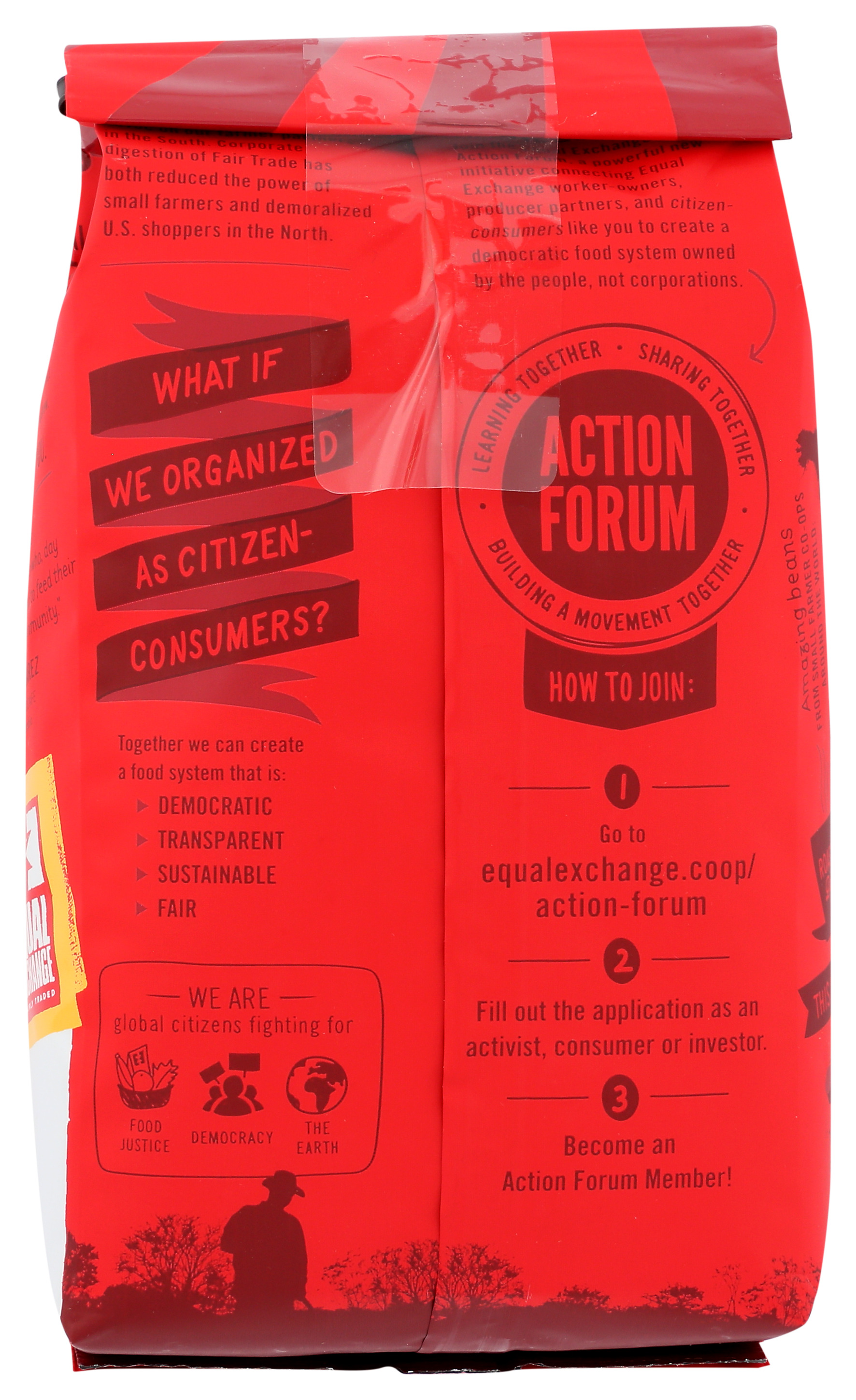 Equal Exchange Organic Love Buzz Whole Bean Coffee 12 Oz