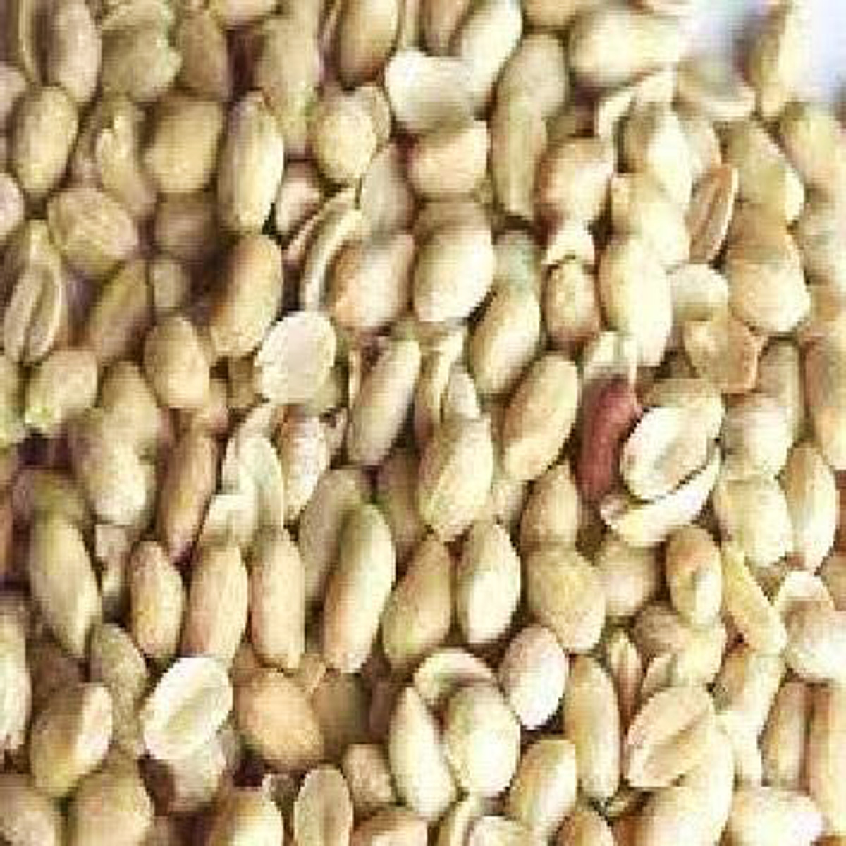 Shelled Roasted Peanuts Bulk
