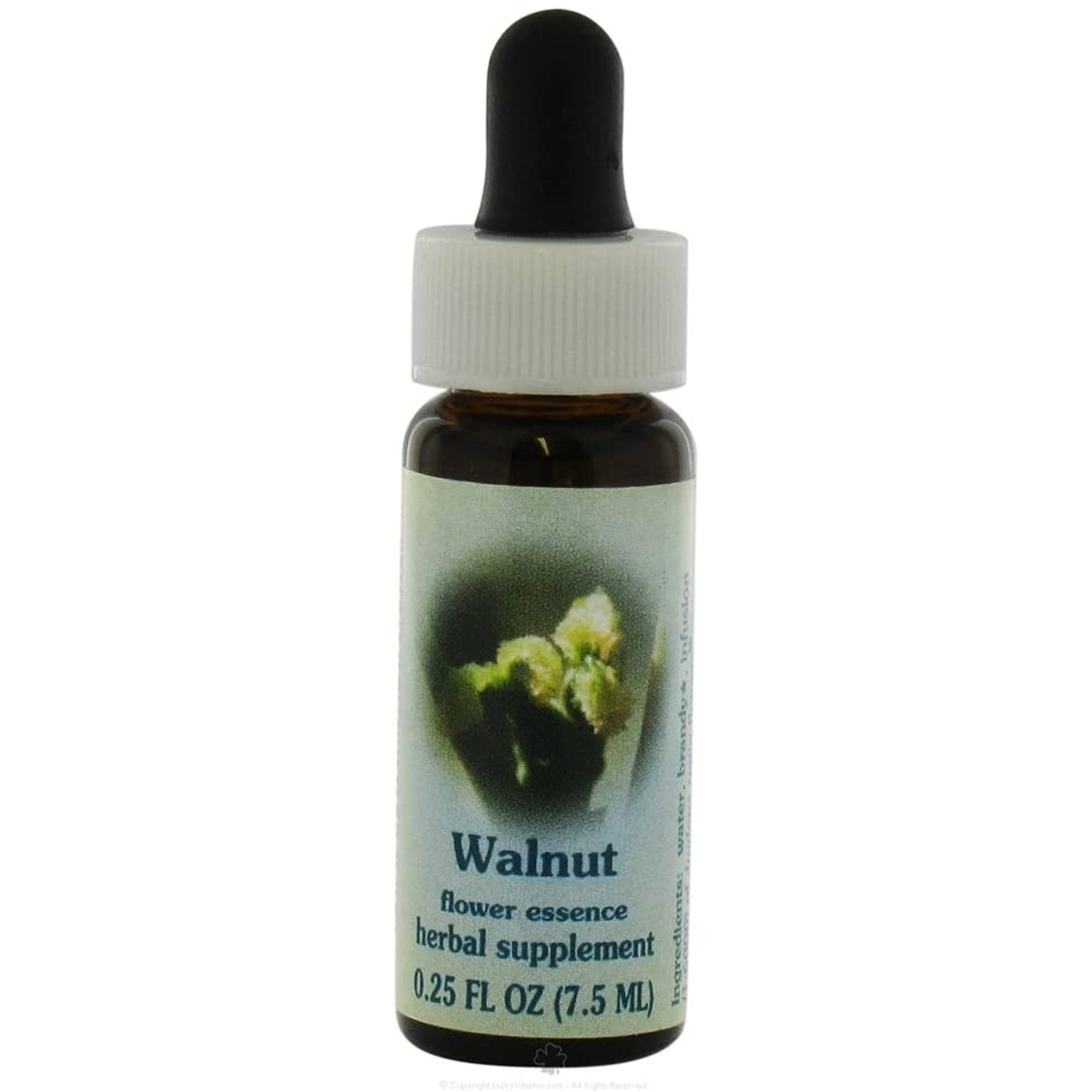 Flower Essence Services Walnut Dropper Herbal Supplement 0.25 Fl Oz 25