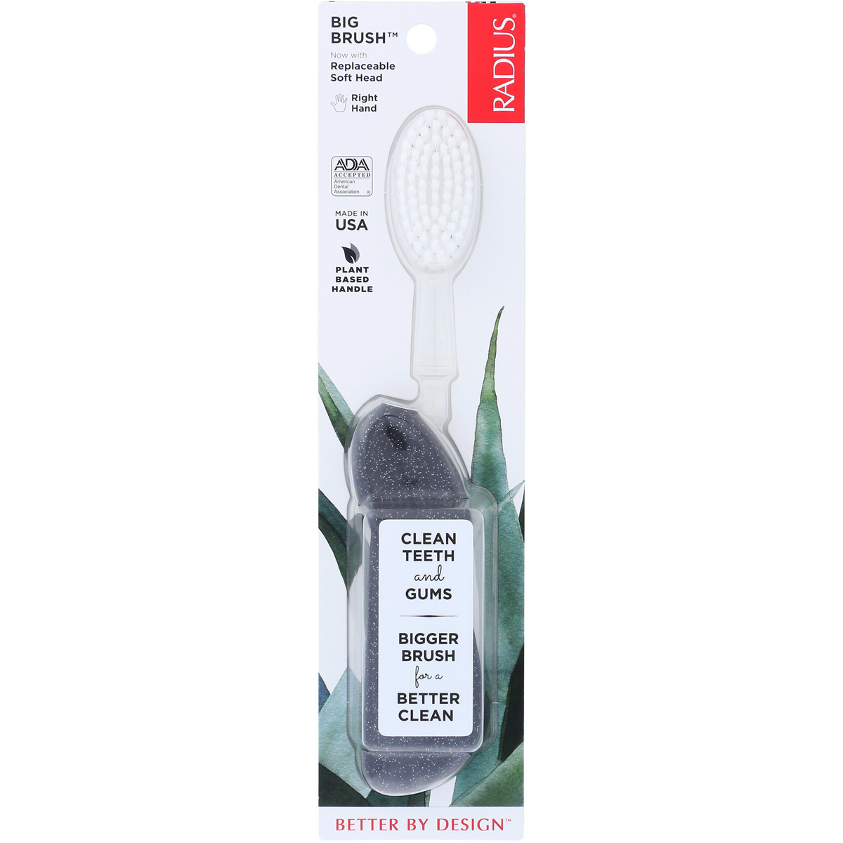 Radius Big Brush Toothbrush With Replaceable Soft Head Right