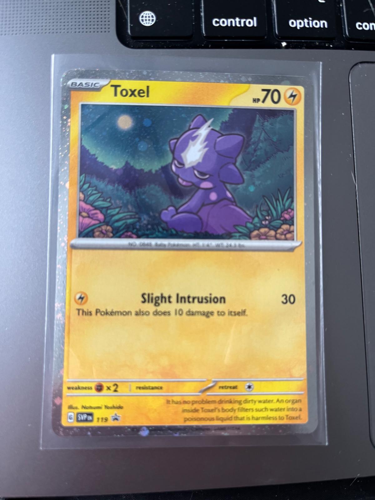 Toxel #119 Pokemon Promo