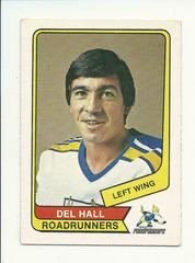 Del Hall Hockey Cards 1976 O-Pee-Chee WHA Prices