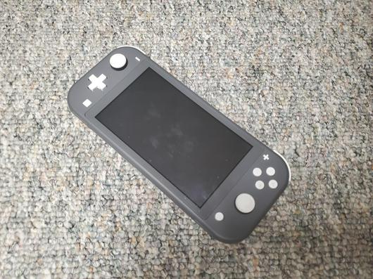 Nintendo Switch Lite [Gray] photo