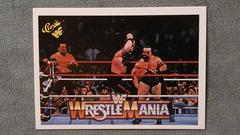 Powers of Pain, Demolition #74 Wrestling Cards 1990 Classic WWF The History of Wrestlemania Prices