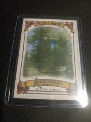 Alpine Larch #AA-7 Baseball Cards 2021 Topps Allen & Ginter Arboreal Appreciation Prices