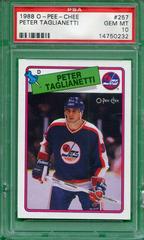 Peter Taglianetti Hockey Cards 1988 O-Pee-Chee Prices