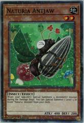Naturia Antjaw [Dual Terminal 1st Edition] YuGiOh Hidden Arsenal: Chapter 1 Prices