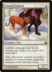 Trained Caracal [Foil] Magic Return to Ravnica Prices