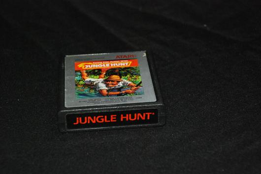 Jungle Hunt photo