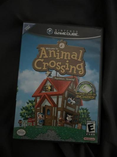 Animal Crossing photo