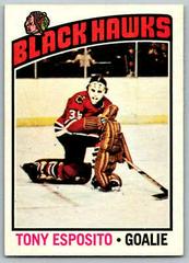 Tony Esposito #100 Hockey Cards 1976 O-Pee-Chee Prices