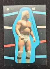 Hulk Hogan #16 Wrestling Cards 1985 Topps WWF Stickers Prices