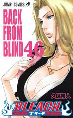 Bleach Vol. 46 [Paperback] (2010) Comic Books Bleach Prices