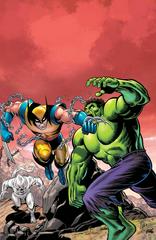 Hulk [Houston Virgin] #6 (2022) Comic Books Hulk Prices