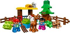 LEGO Set | Forest: Animals LEGO DUPLO