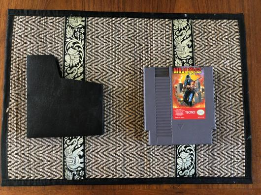 Ninja Gaiden photo