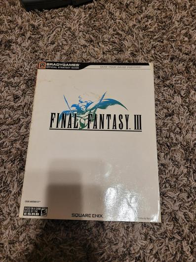 Final Fantasy III [BradyGames] photo