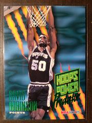 David Robinson Basketball Cards 1995 Hoops Power Palette Prices