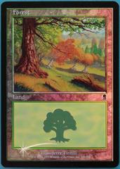 Forest [Foil] #349 Magic Odyssey Prices