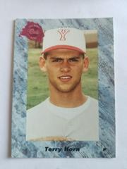 Terry Horn #96 Baseball Cards 1991 Classic Draft Picks Prices