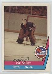 Joe Daley #9 Hockey Cards 1977 O-Pee-Chee WHA Prices