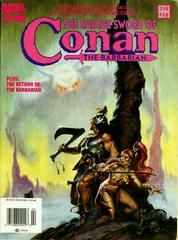 Savage Sword Of Conan The Barbarian #218 (1994) Comic Books Savage Sword of Conan the Barbarian Prices