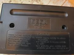 Cartridge (Reverse) | Zoop Sega Genesis