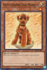 Outstanding Dog Marron DCR-EN062 YuGiOh Dark Crisis: 25th Anniversary Prices