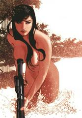 Gun Honey: Collision Course [Hughes Virgin] #1 (2024) Comic Books Gun Honey: Collision Course Prices