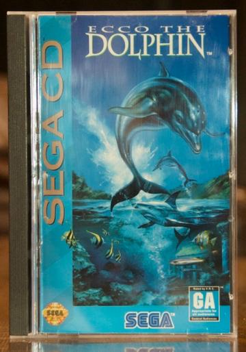 Ecco the Dolphin photo