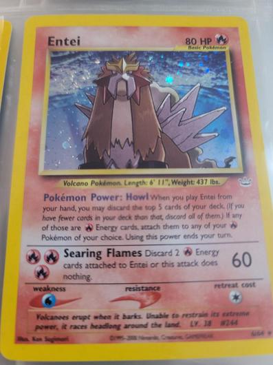 Entei #6 photo