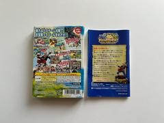 Back Of Box And Manual  | One Piece: Treasure Battle JP Gamecube